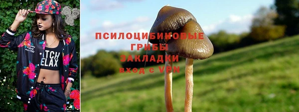 стафф Арсеньев