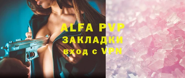 стафф Арсеньев