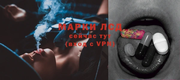 стафф Арсеньев