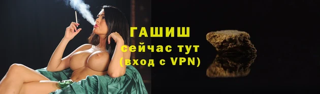 стафф Арсеньев