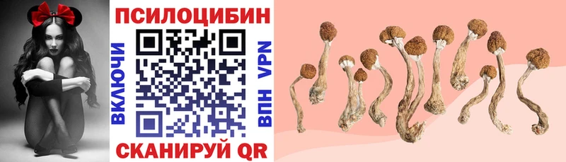 Галлюциногенные грибы MAGIC MUSHROOMS  мега ссылка  Курильск 